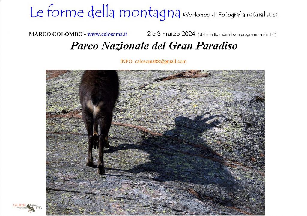 workshop Gran Paradiso marzo 2024